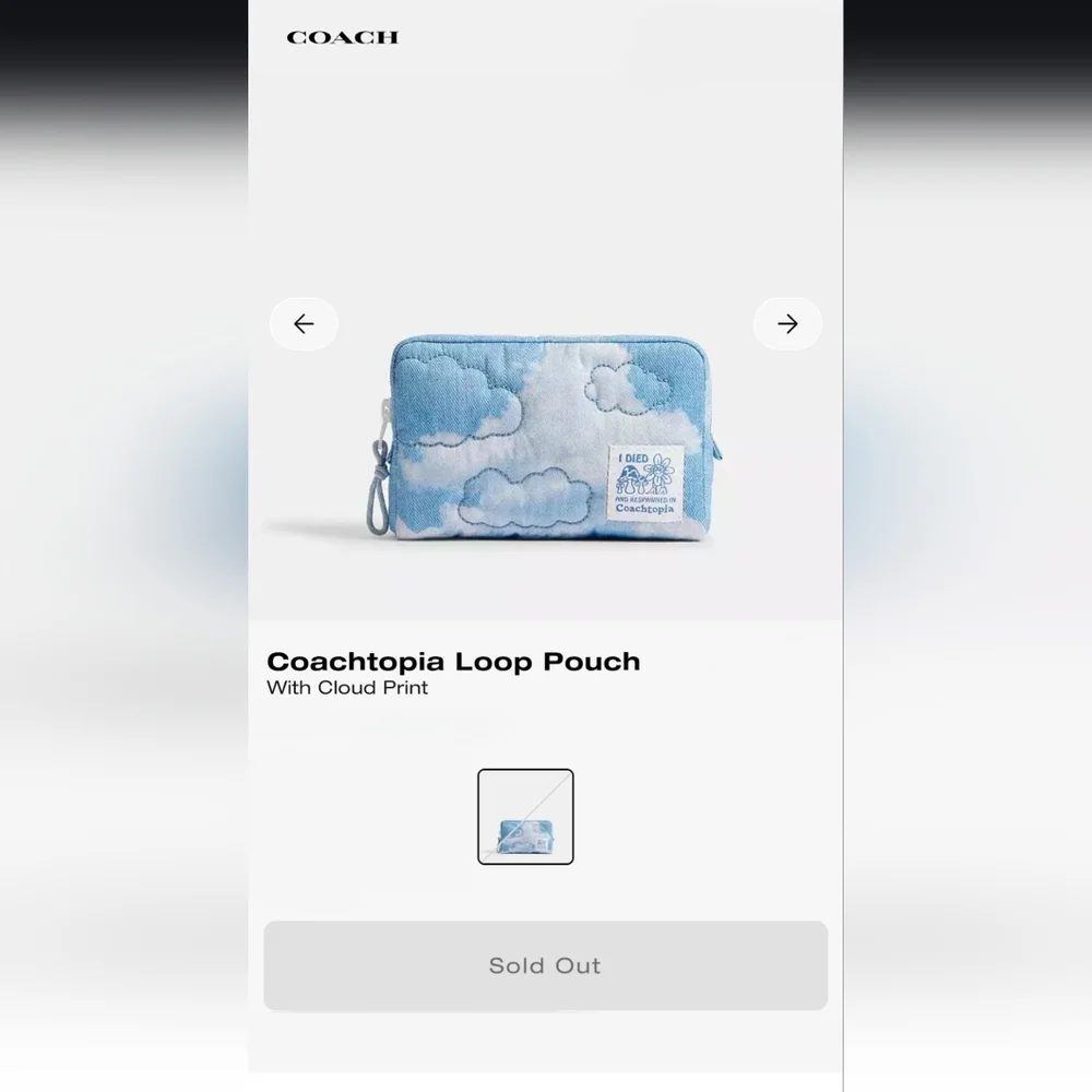 *NWT* COACHTOPIA Loop Pouch, Coach Blue Cloud Mini Bag Pouch - Picture 9 of 9